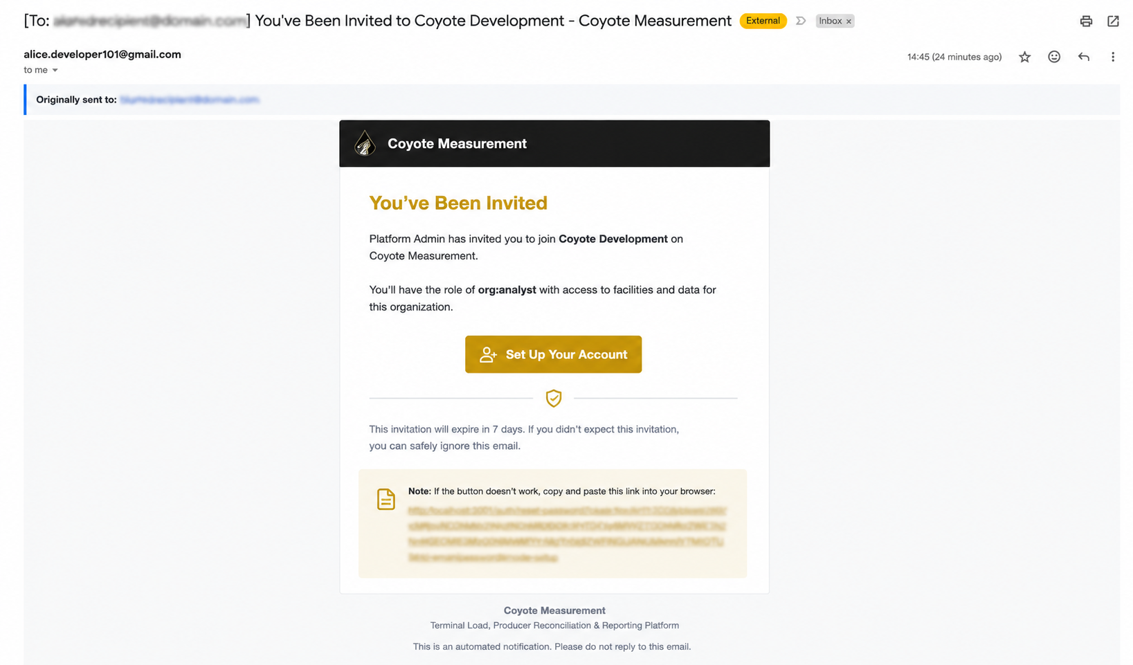 Invitation email with organization name, role, and Set Up Your Account button